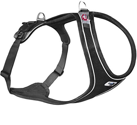 Curli Belka magnetic comfort